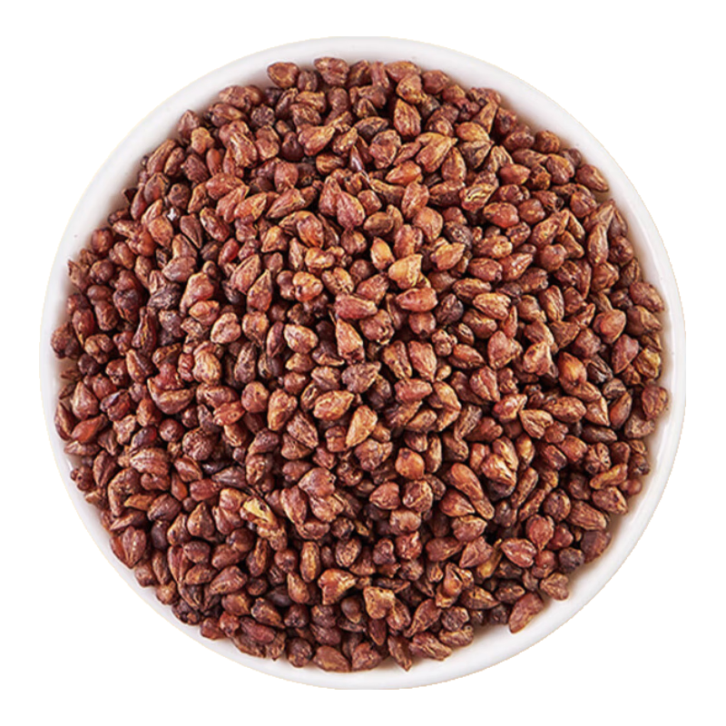 贡苑大凉山黑苦荞茶500g(独立小泡50包)全颗粒胚芽金黄芥大麦花草茶 【独立小泡50包】黑苦荞500g