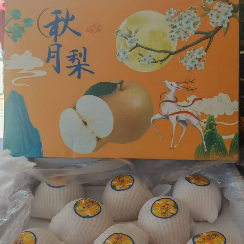 粤瓜田李夏山东秋月梨(单果300g+)7斤礼盒装(8-9个) 