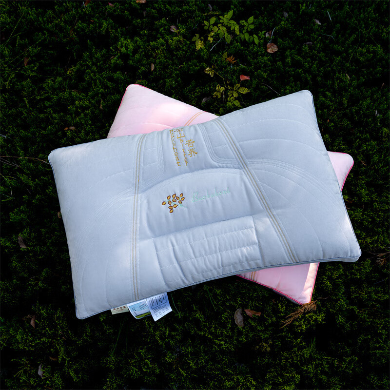 蕊丝坊  凉山苦荞麦羽丝枕黑苦荞枕头枕芯