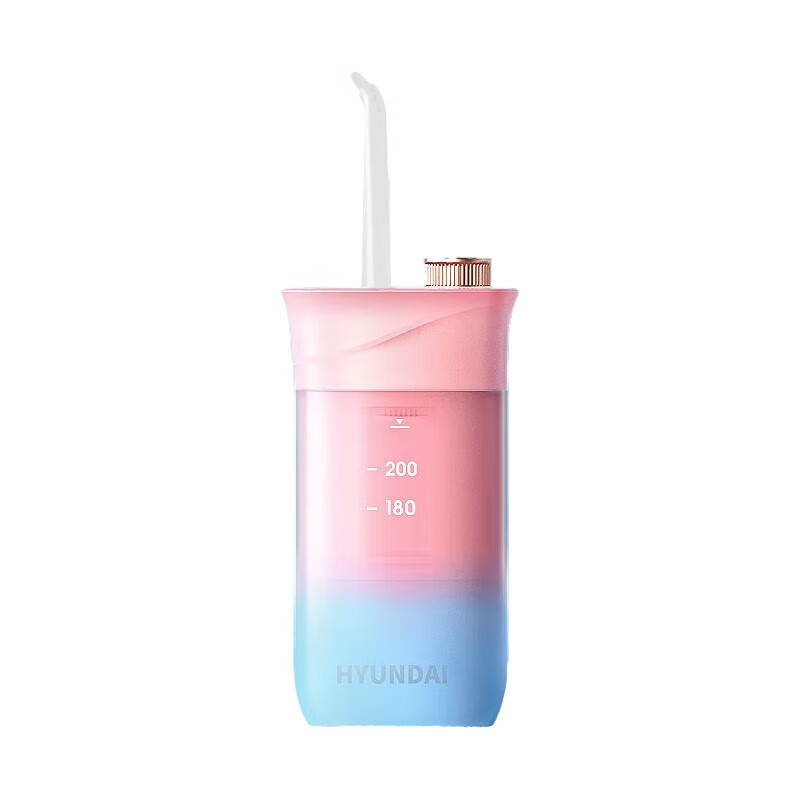 HYUNDAIW1冲牙器 