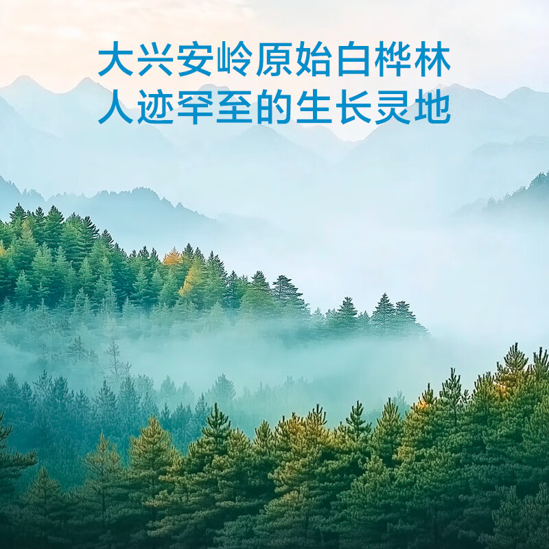 京东京造100%NFC白桦树汁原液320ml*6瓶大兴安岭0脂天然植物当季鲜采端午