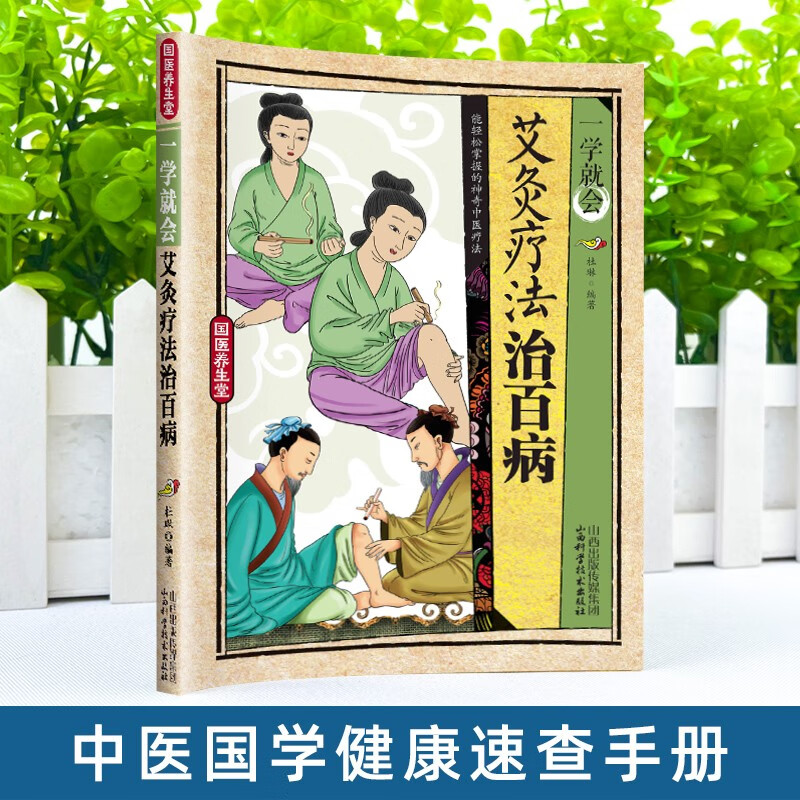 国医养生堂-一学就会艾炙疗法治百病彩图版正版中医艾灸工具家用书针灸书