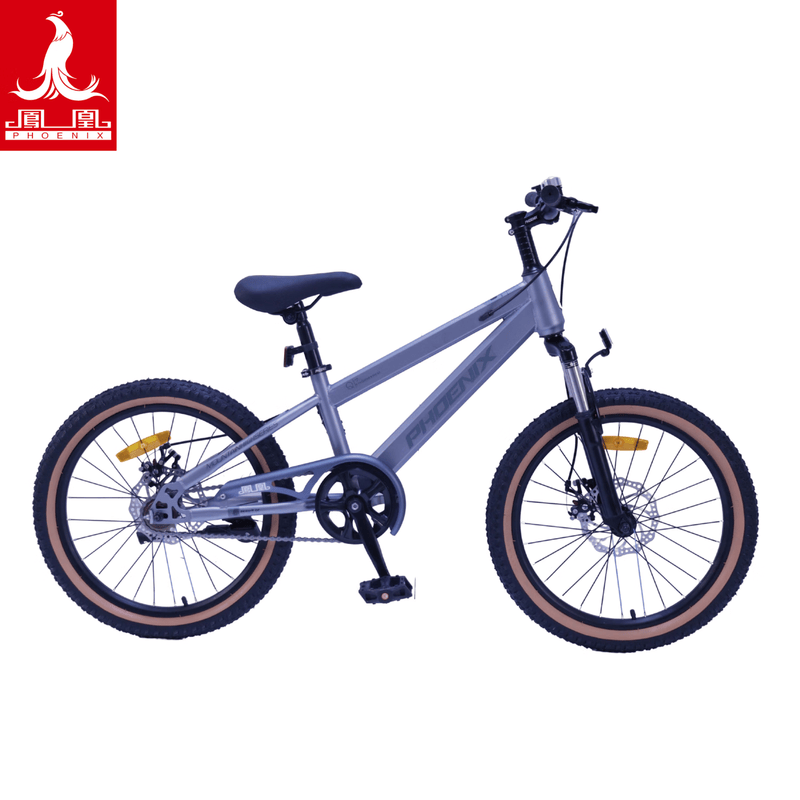 凤凰  碳钢机械双碟刹学生车山地自行车TT-20