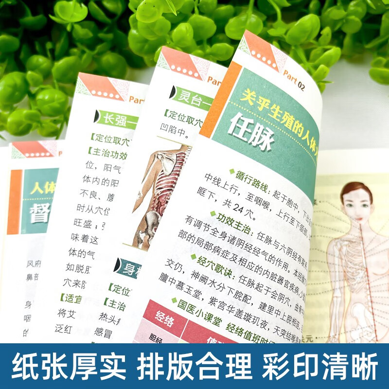 国医养生堂-一学就会艾炙疗法治百病彩图版正版中医艾灸工具家用书针灸书