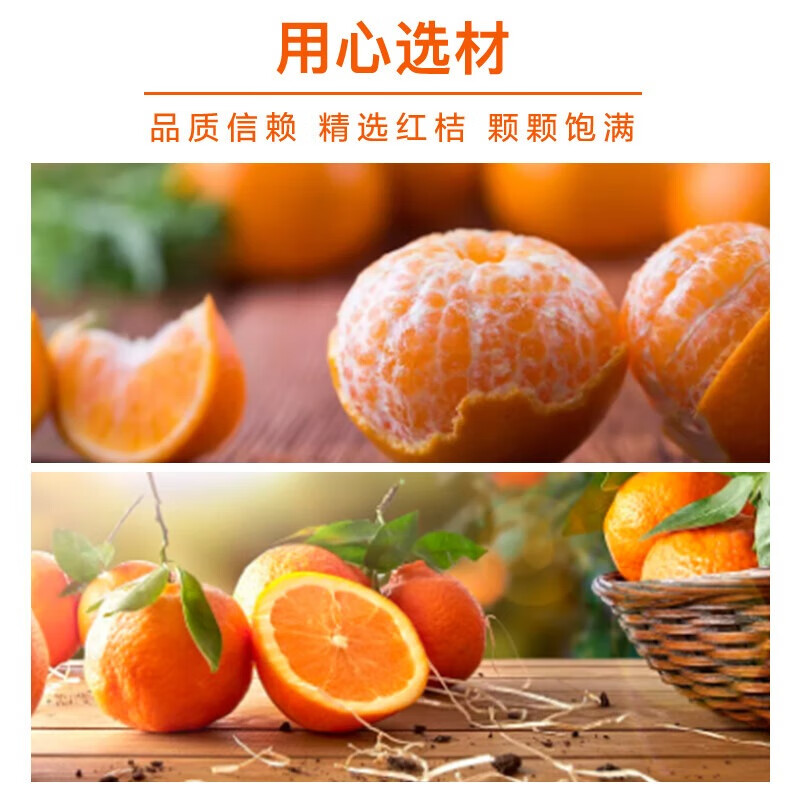 北冰洋 桔汁汽水 经典配方激爽可口果汁碳酸饮料整箱 330ml*24罐*10箱