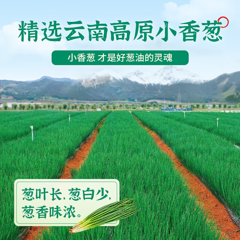 仲景 上海葱油酱230g*2瓶  老上海招牌拌面拌饭调味酱地道 葱香诱人