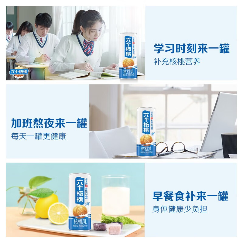 六个核桃  精品型核桃乳植物蛋白饮料 240ml*16罐 整箱装 送礼送长辈