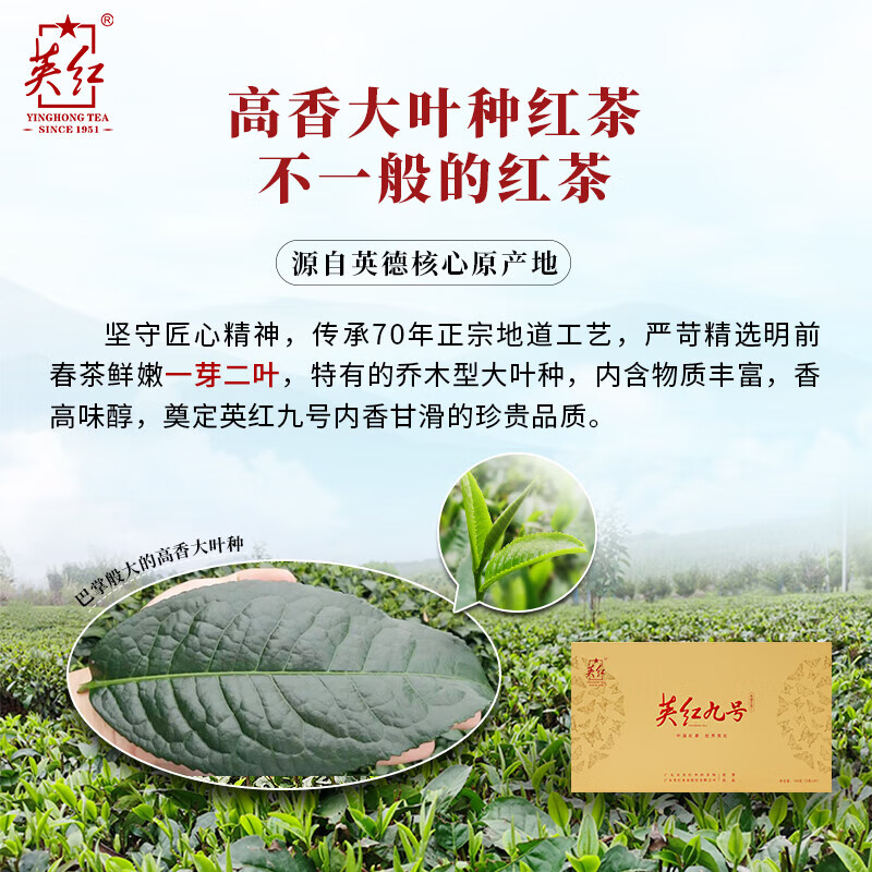 英红 英红牌 尚品九号红茶 浓香型明前春茶有机茶 150g