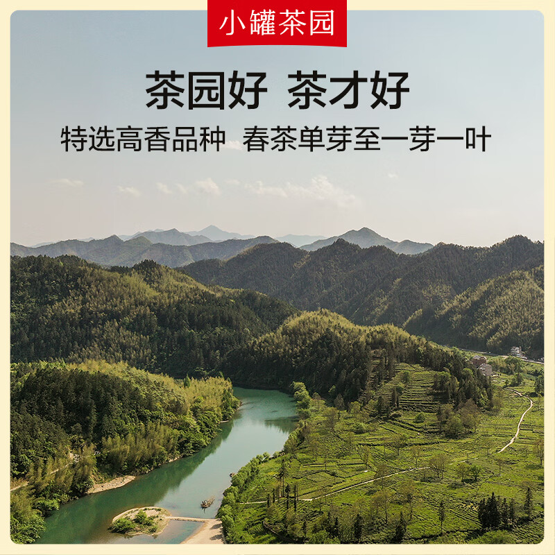 小罐茶 小罐茶园 金标系列金骏眉红茶2.0版 95g*1罐 居家功夫泡