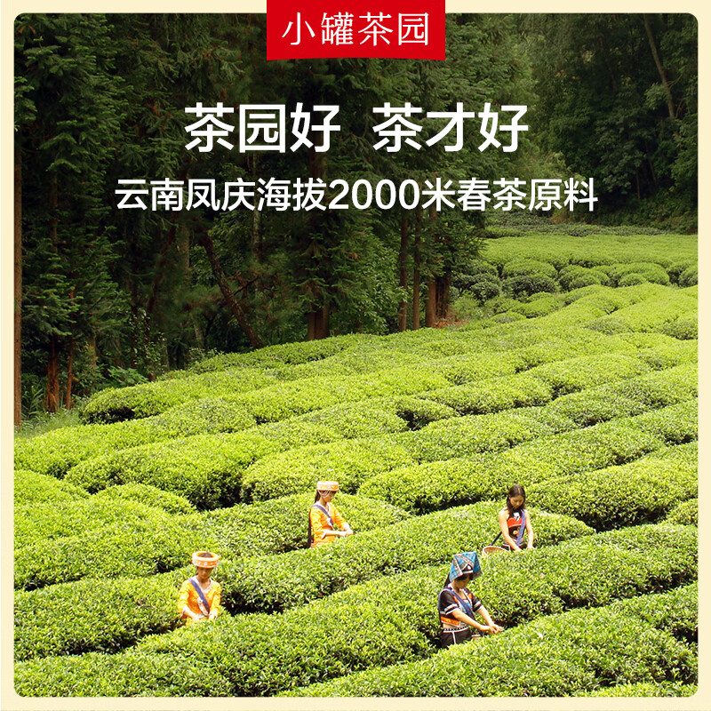 小罐茶 小罐茶园 彩标系列滇红茶2.0版 105g*1罐 居家功夫泡