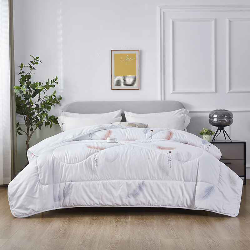 皮尔卡丹  阳绒时尚被爱之羽PCADB-0115