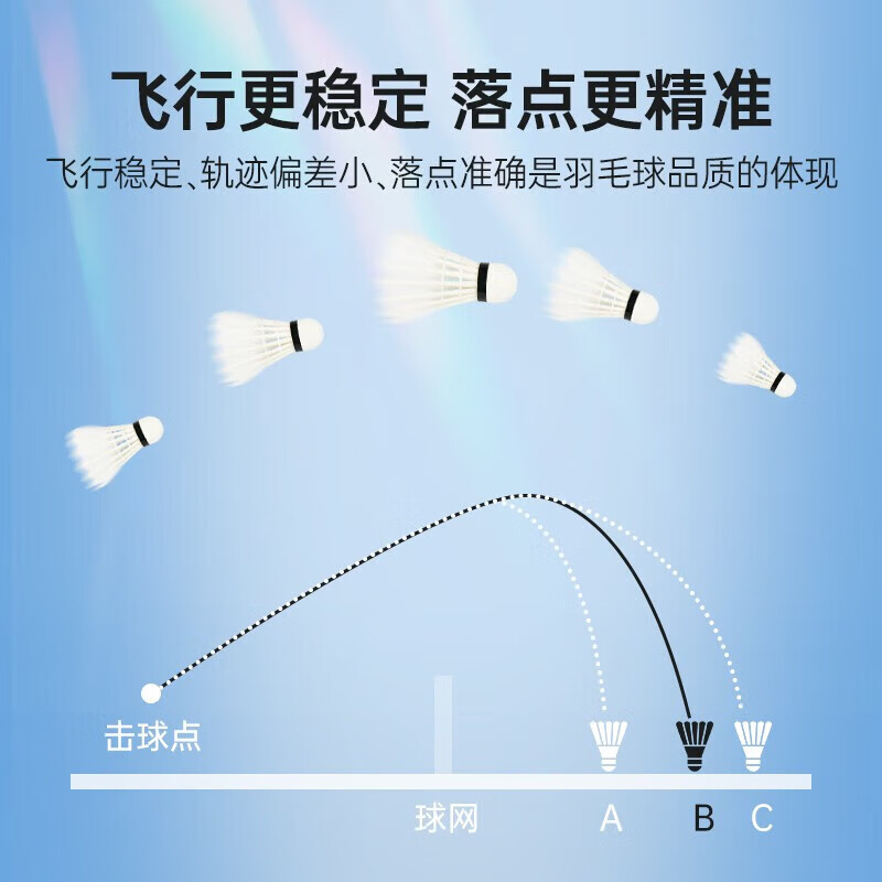 双鱼（DOUBLE FISH）羽毛球耐打球馆专业训练不易打烂硬球头 【专业款】鹅毛12只装
