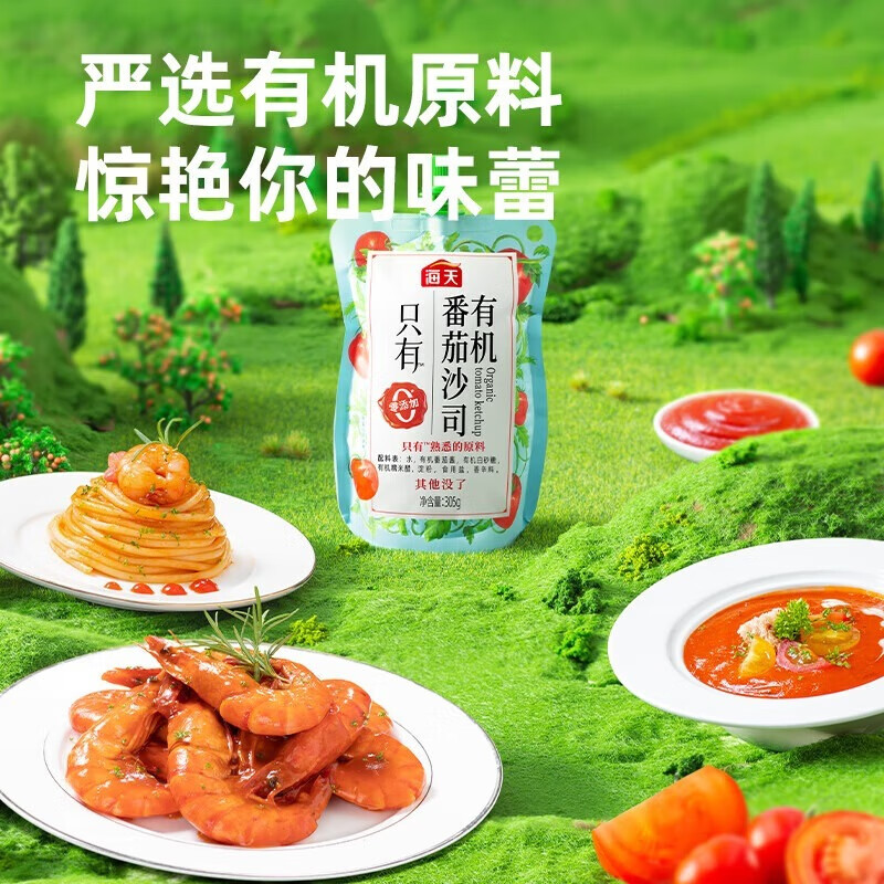 海天 花式吃法 美味搭档 点蘸调味 轻食伴侣 有机番茄沙司305g*10袋