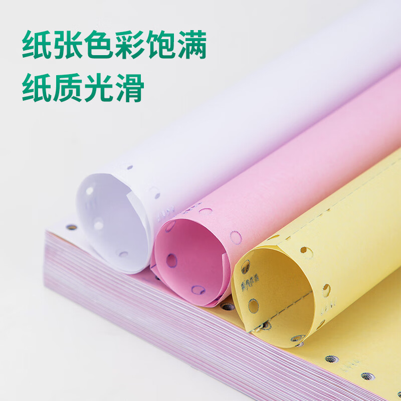 deli得力莱茵河L241-3电脑打印纸(1/3CS彩色撕边)(1000页/盒)