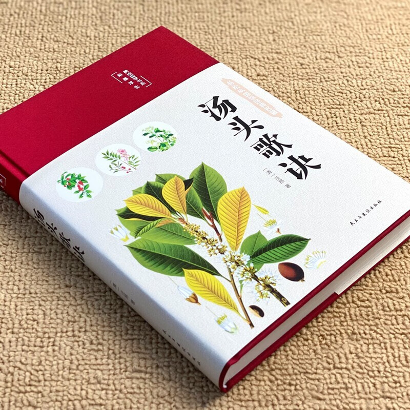 汤头歌诀