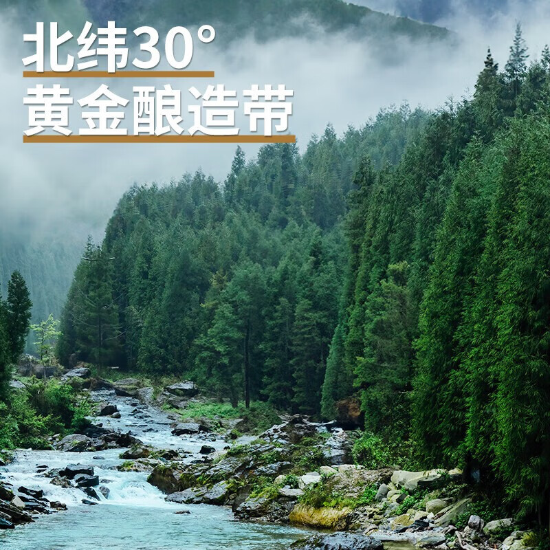 千禾御藏本酿 家庭用 实惠装 批发囤货 酱油 180天特级生抽1.8L*10瓶