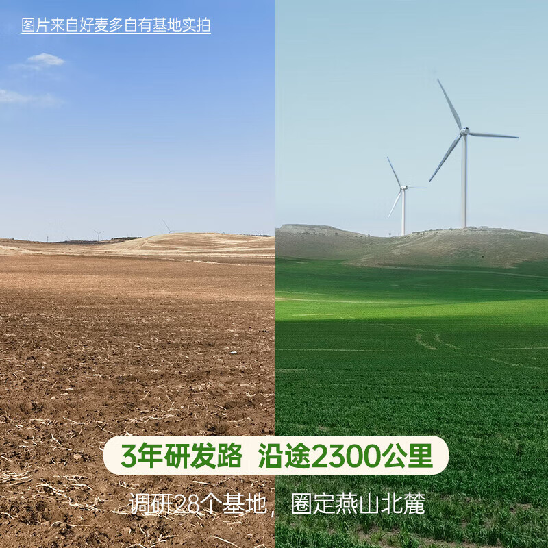 好麦多早餐谷物国燕一号有机燕麦片（限供版）高端礼盒无添加即食冲饮