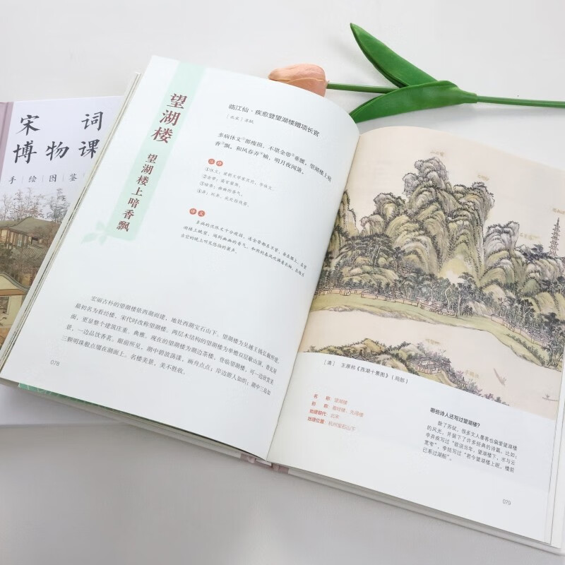 宋词博物课（手绘图鉴版）：山川风物卷