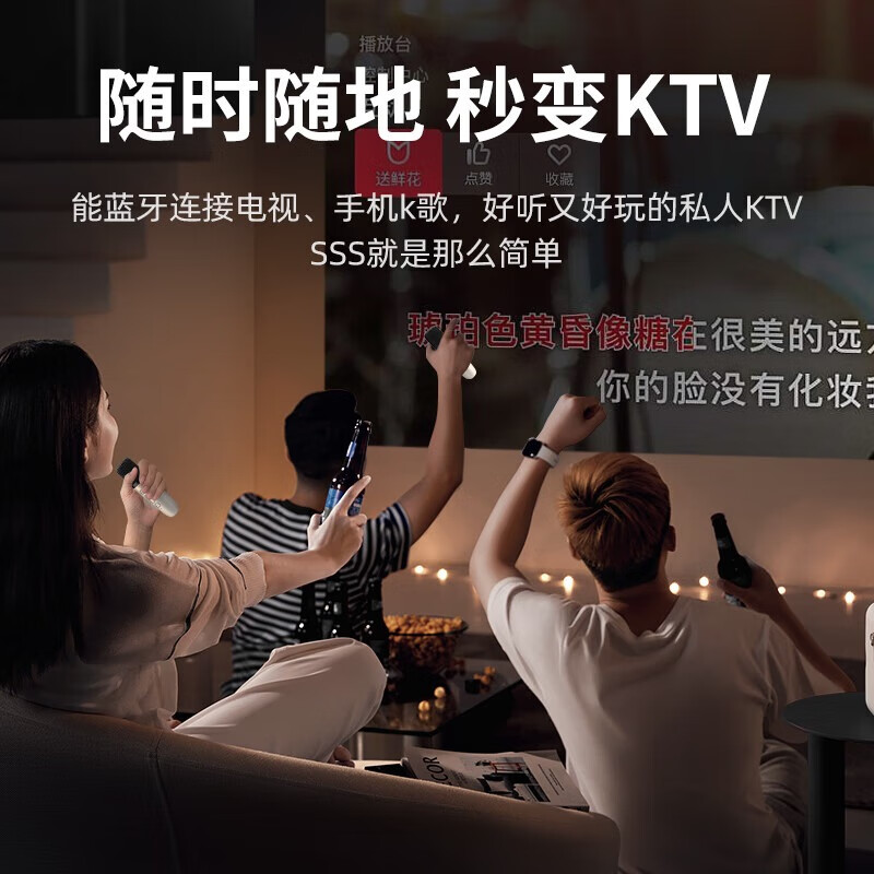 纽曼（Newmine）DP07话筒音箱音响套装家用音箱迷你手提便携式话筒K歌麦克风一体机 双麦