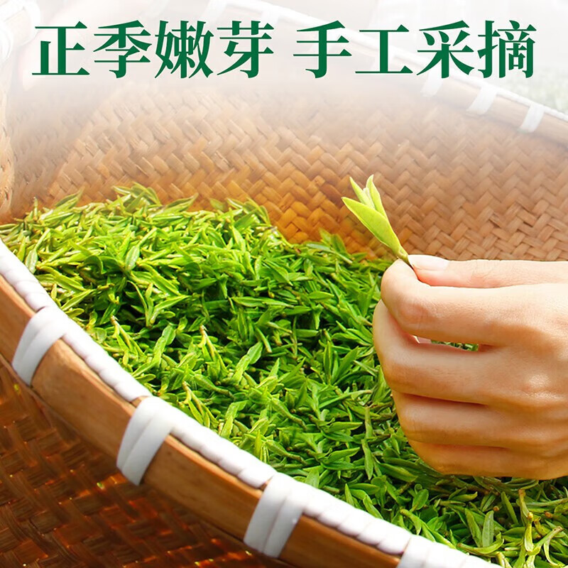 忆江南 碧螺春绿茶叶春季新茶嫩芽散装自饮口粮PVC盒袋装200g*2盒装