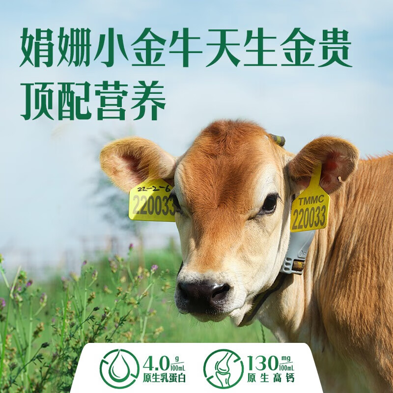 伊利金典4.0g乳蛋白 娟姗有机纯牛奶整箱250ml*10盒原生高钙 礼盒装