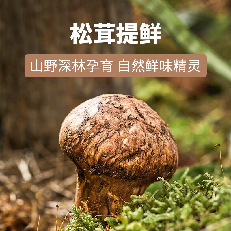 松鲜鲜 代替盐鸡精味精煲汤炒菜调味 厨房囤货 松茸鲜调味料125g*20瓶