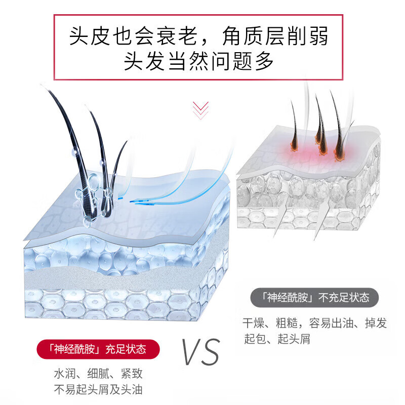 舒蕾 SLEK头皮水润强韧修护洗发露700ml