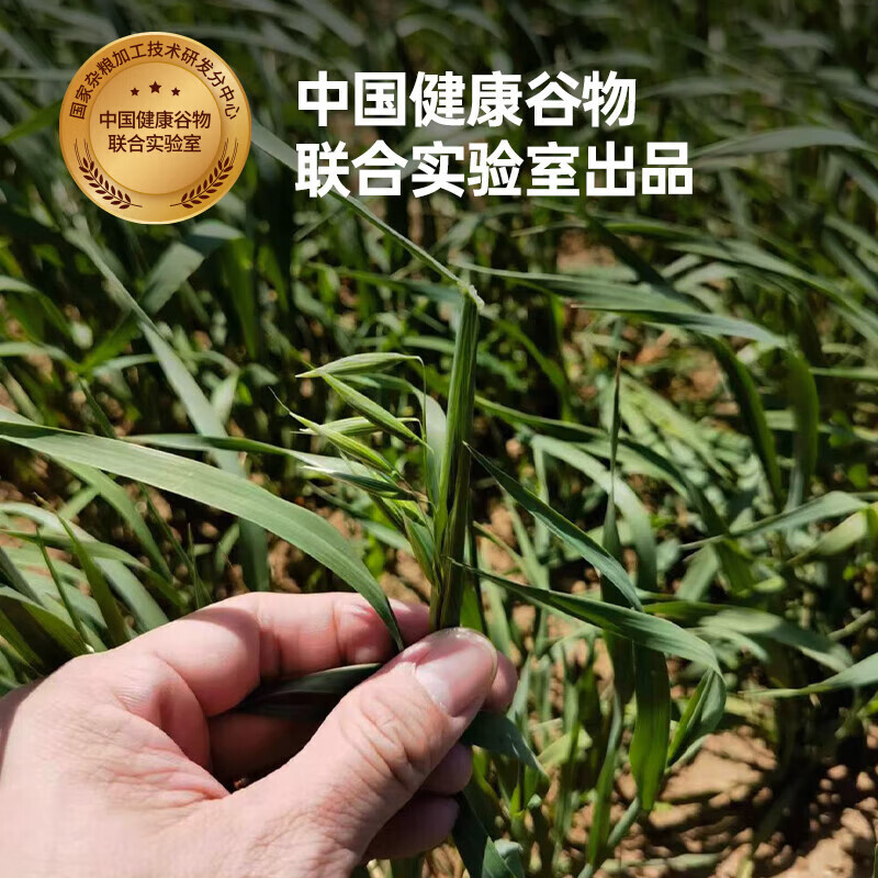好麦多早餐谷物国燕一号有机燕麦片（限供版）高端礼盒无添加即食冲饮