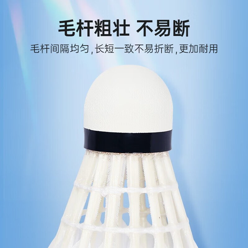 双鱼（DOUBLE FISH）羽毛球耐打球馆专业训练不易打烂硬球头 【专业款】鹅毛12只装