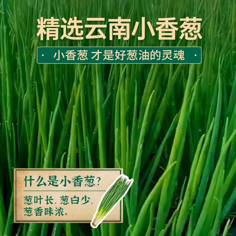 仲景拌面拌饭面条酱下饭酱好吃方便袋装 150g葱油量贩包（25g*6袋）