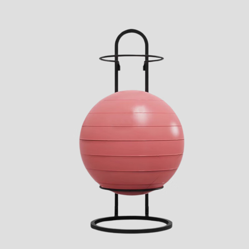 塔工 瑜伽球架子 收纳健身器材放置物架 黑色放6个（瑜伽球通用）