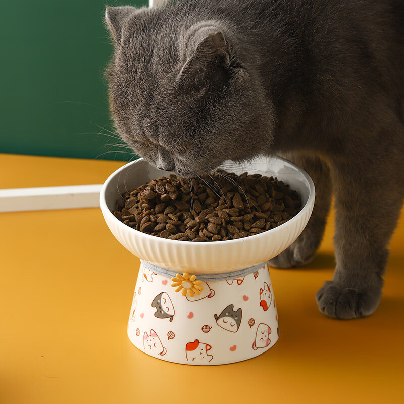 畅宝森 碗 防打翻卡通陶瓷猫碗宠物猫粮碗狗碗 条纹平口碗（卡通小鱼）