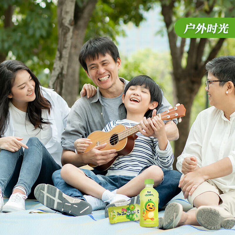 康师傅青梅绿茶 330ml*12瓶整箱装 果味饮料饮品 便携装