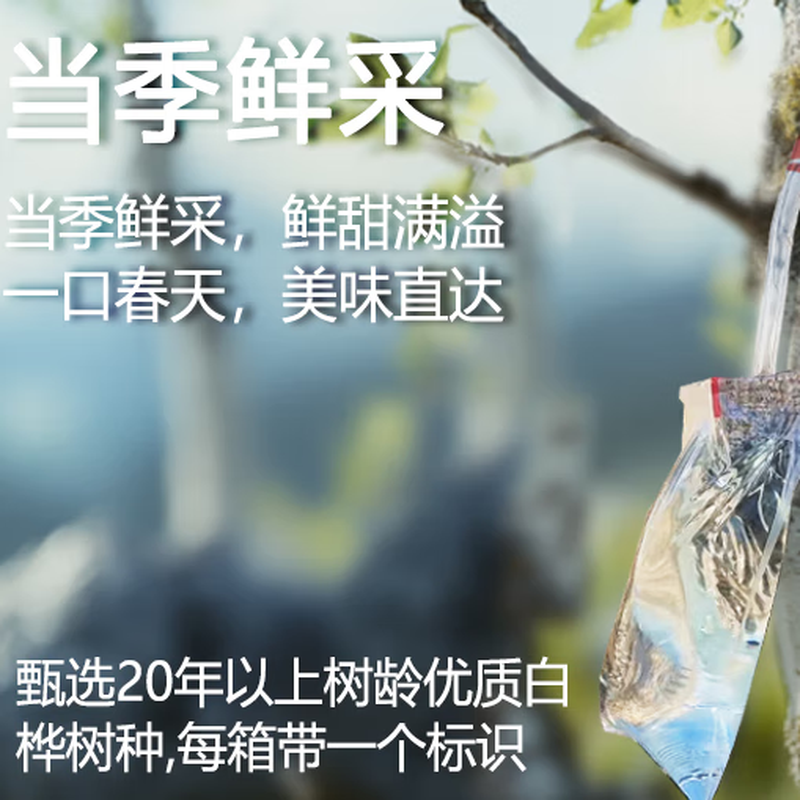 京东京造100%NFC白桦树汁原液320ml*6瓶大兴安岭0脂天然植物当季鲜采端午