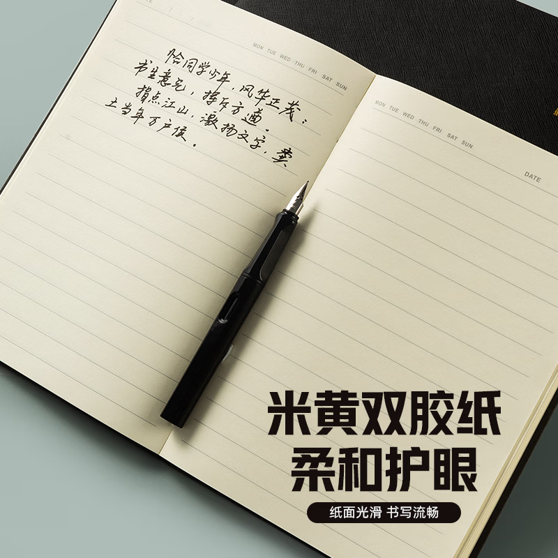 晨光（M&G）文具黑色软皮革面笔记本本子开会办公用品会议记录本日记本记事本商务A5/25K 80张单本PA5842 YL