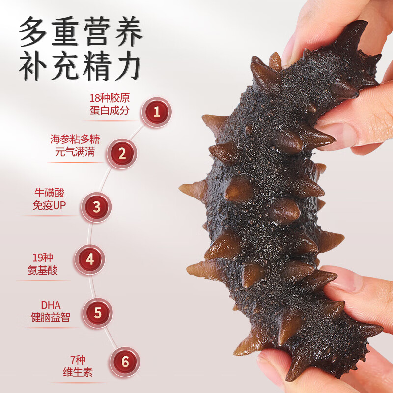 御西美农山珍海味十拼礼盒红色 海参鲍鱼人参鱼胶灵芝鱼翅滋补端午送礼