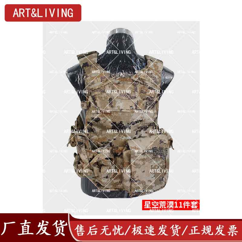 ART&LIVING迷彩携行具 野战训练装备防护作战马甲战术背心 荒漠色11件套