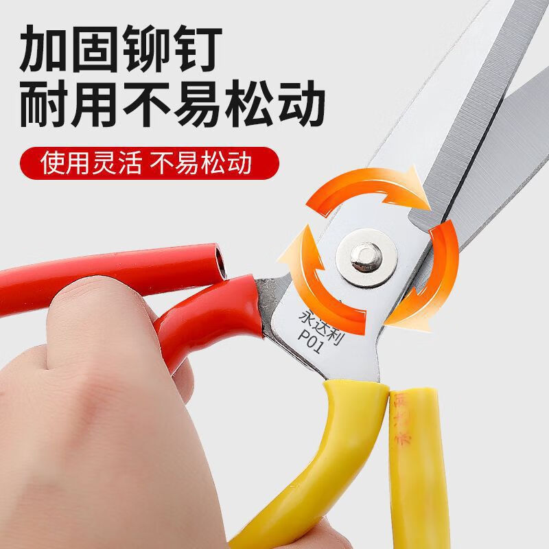 京鲜坊1号剪子黄红皮 把