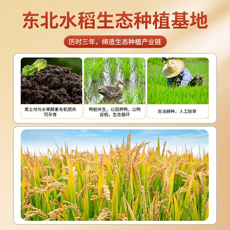 邻家饭香   东北大米 冰粒香 10kg/袋 非真空包装 ZCHA168 
