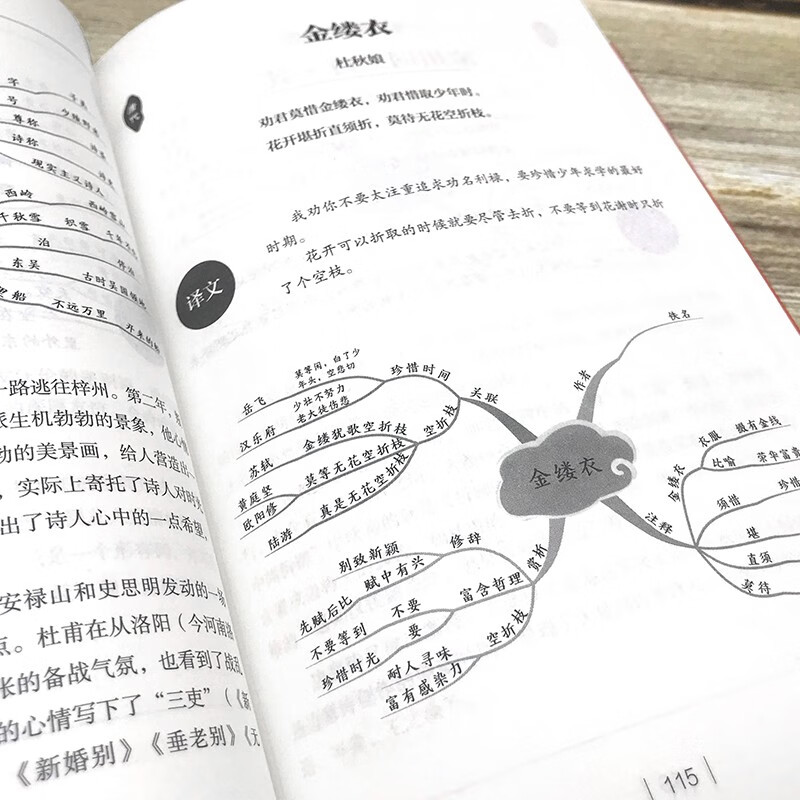 用思维导图学古诗词：365天完整版+小学生书写规范读书笔记（全2册）中小学生课外阅读书