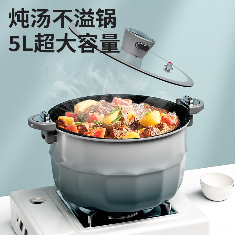 金嫂子时来运转称心得意两件套 微压炖汤锅双边锁扭料理煲汤锅大容量5L