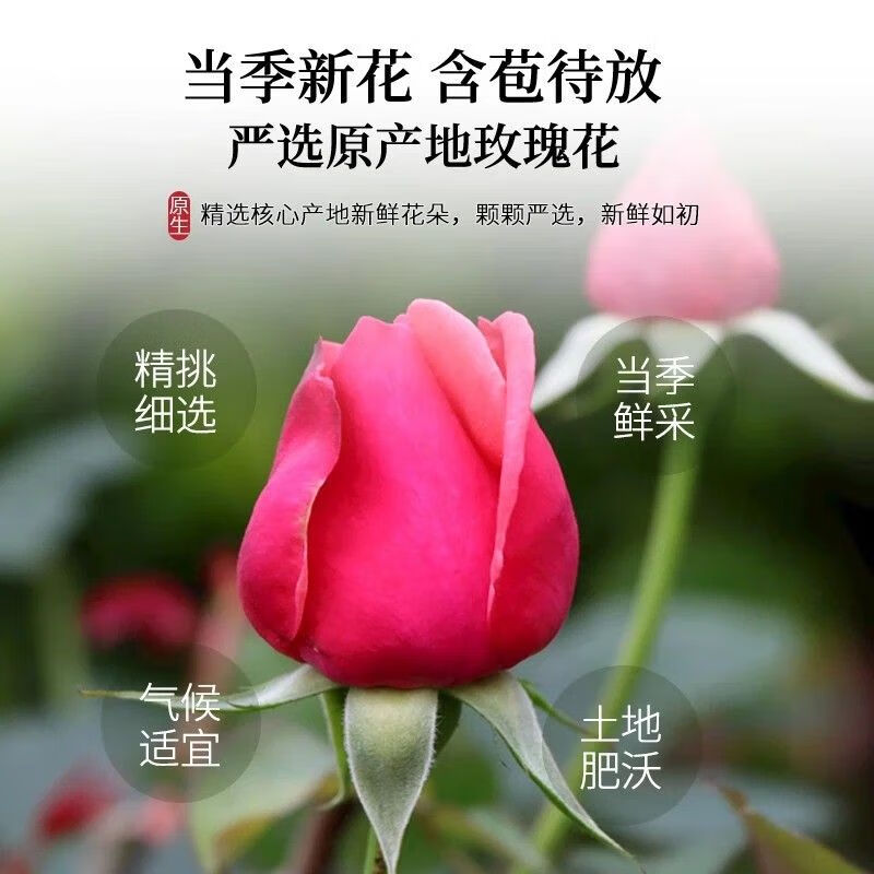 雨沁芳甸玫瑰花茶 平阴原产玫瑰饱满无硫熏搭黑枸杞桑葚养生茶250g袋装