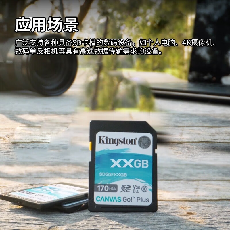 金士顿（Kingston）SD卡相机存储卡单反微单相机内存卡 class10 SDG3/128GB【V30丨读速170M/S】