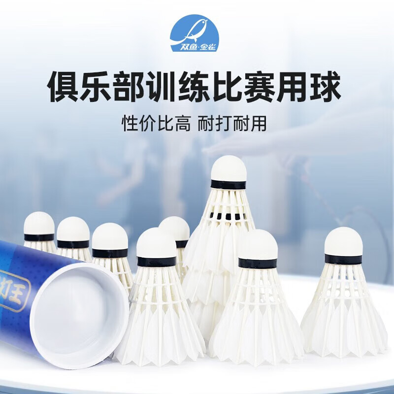 双鱼（DOUBLE FISH）羽毛球耐打球馆专业训练不易打烂硬球头 【专业款】鹅毛12只装