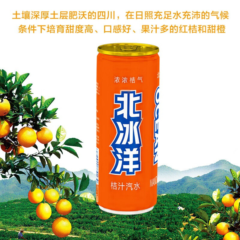 北冰洋 桔汁汽水 经典配方激爽可口果汁碳酸饮料整箱 330ml*24罐*10箱