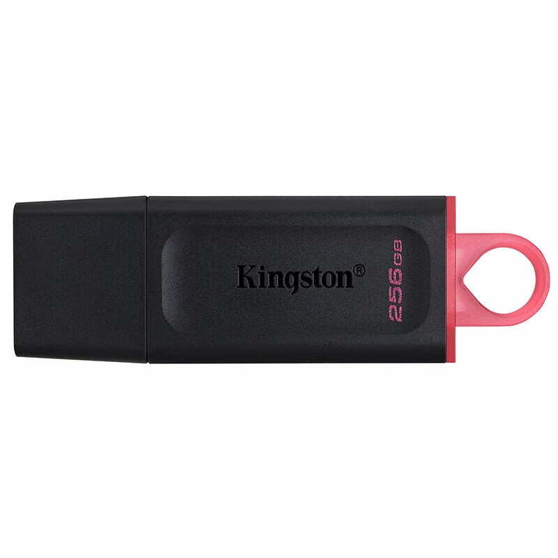 金士顿（Kingston）256GB USB3.2 Gen 1 U盘 DTX 大容量U盘 时尚设计 轻巧便携 学习办公电脑通用