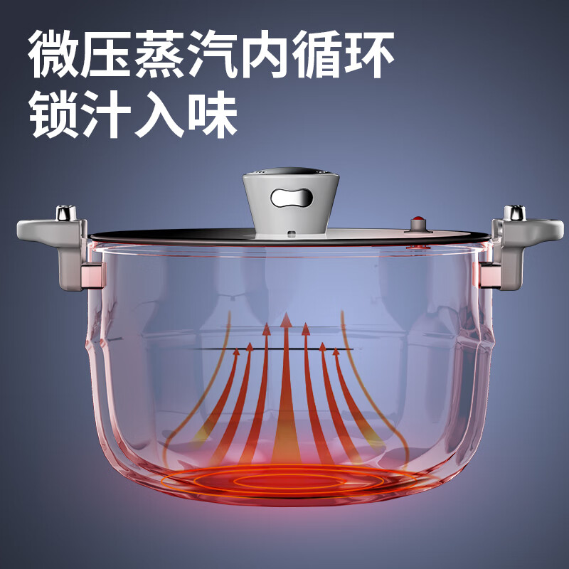 金嫂子时来运转称心得意两件套 微压炖汤锅双边锁扭料理煲汤锅大容量5L