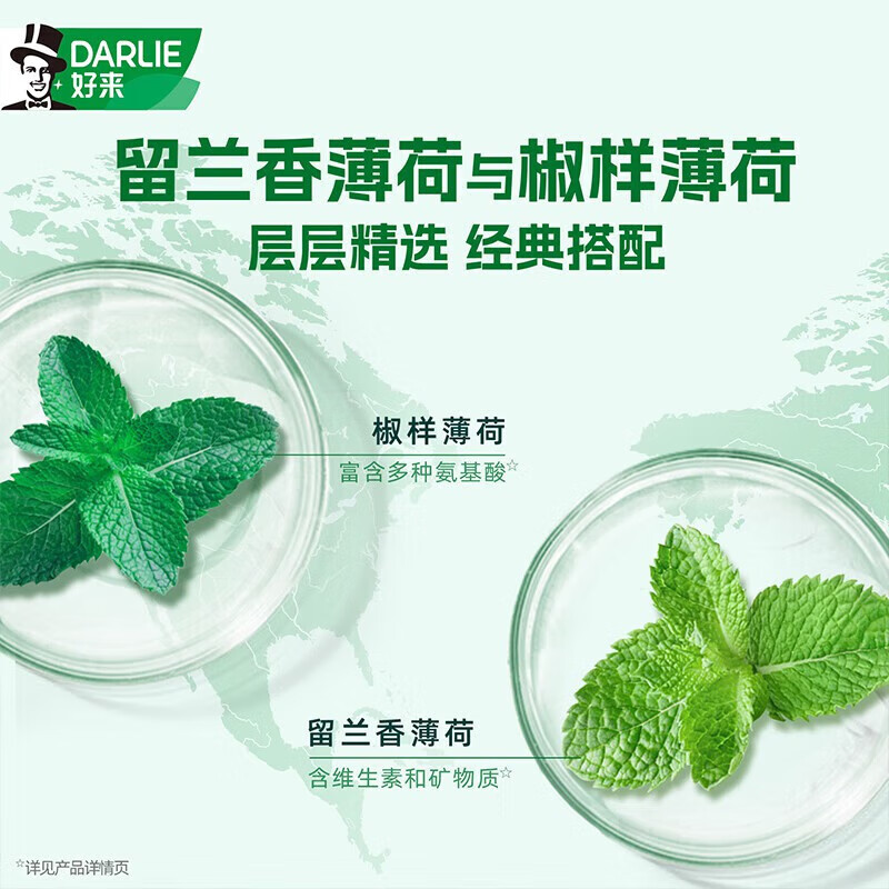 好来(原黑人)双重薄荷牙膏清新口气防蛀固齿减轻口气去渍225g*3支