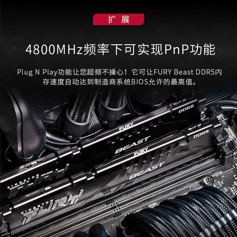 金士顿（Kingston）DDR5台式机内存条 FURY野兽Beast 支持AMD EXPO超频 6000频 32G EXPO超频