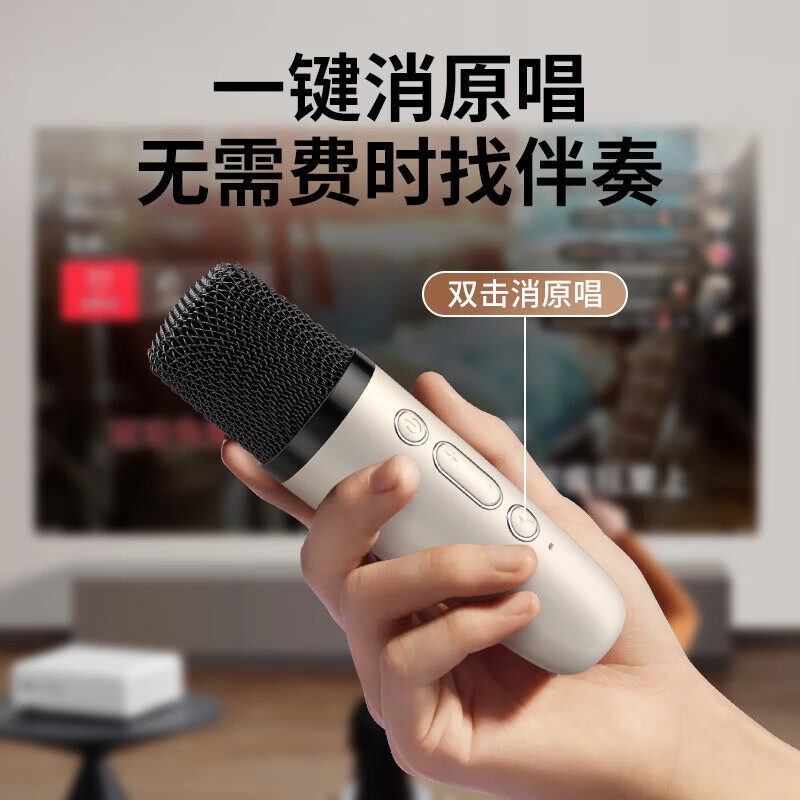 纽曼（Newmine）DP07话筒音箱音响套装家用音箱迷你手提便携式话筒K歌麦克风一体机 双麦